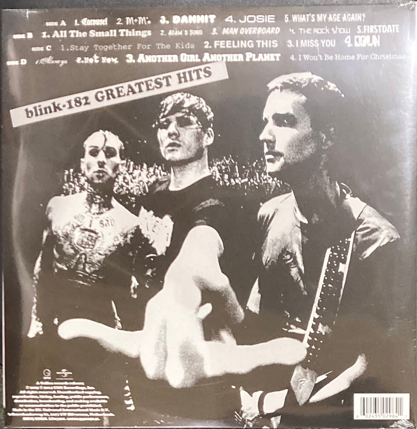 The back of 'Blink 182 - Greatest Hits' on vinyl