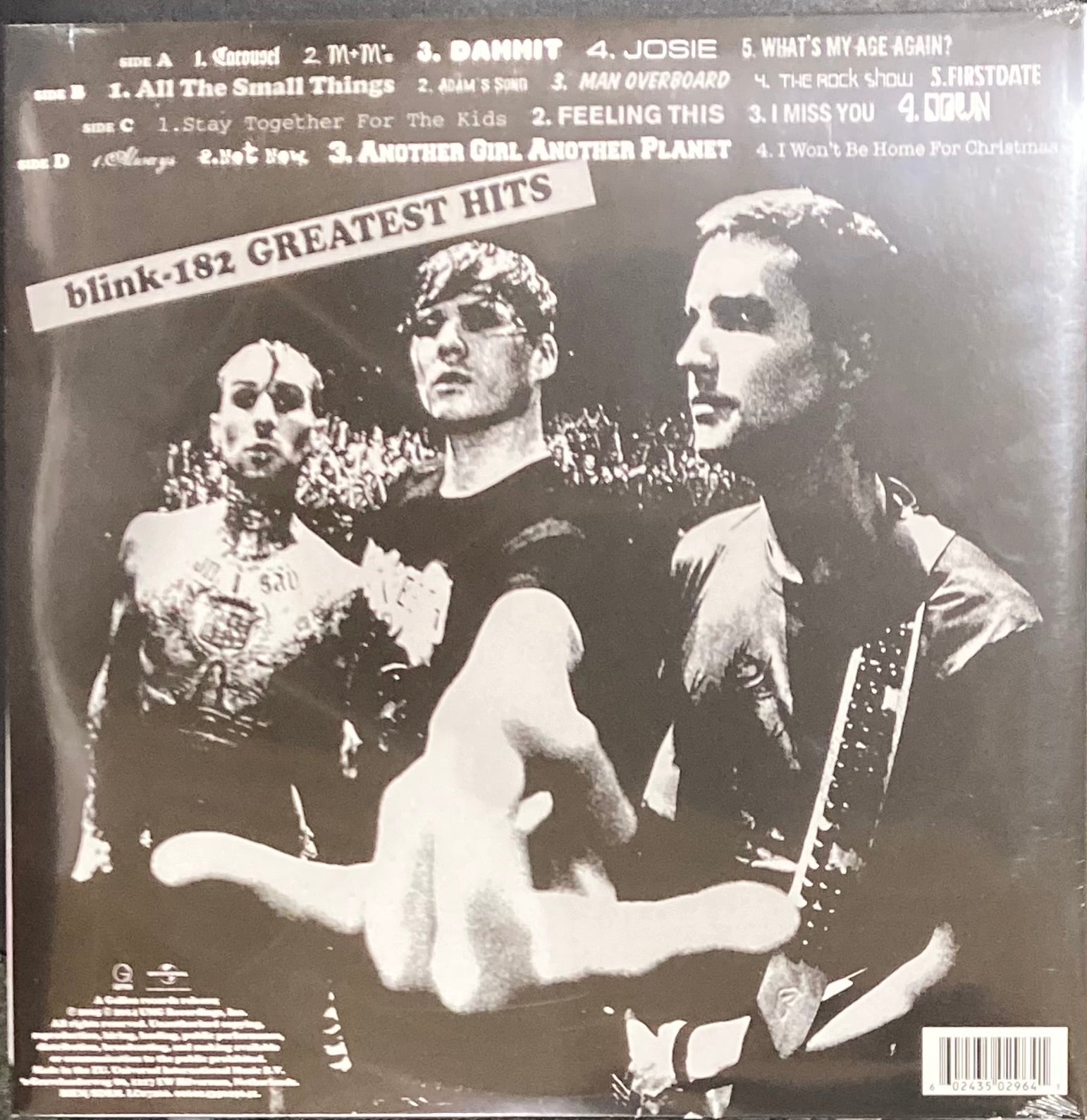 The back of 'Blink 182 - Greatest Hits' on vinyl