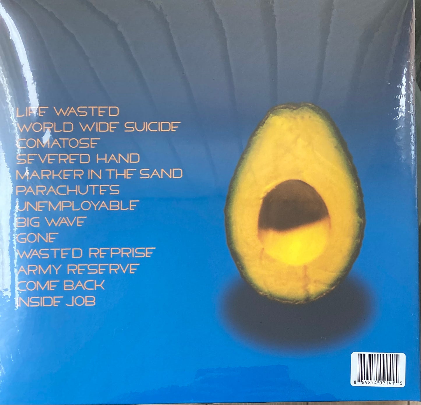 The back of 'Pearl Jam Self-titled album' on vinyl