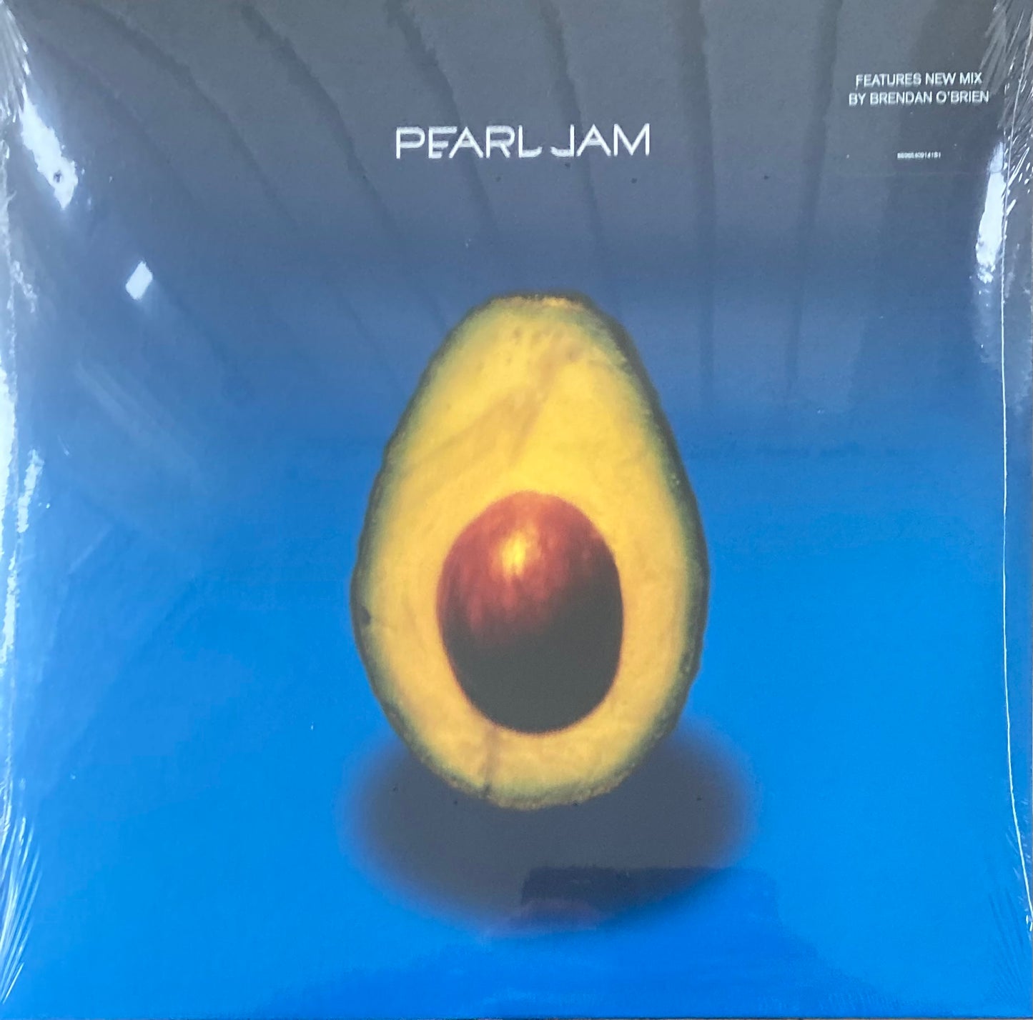 The front of 'Pearl Jam Self-titled album' on vinyl