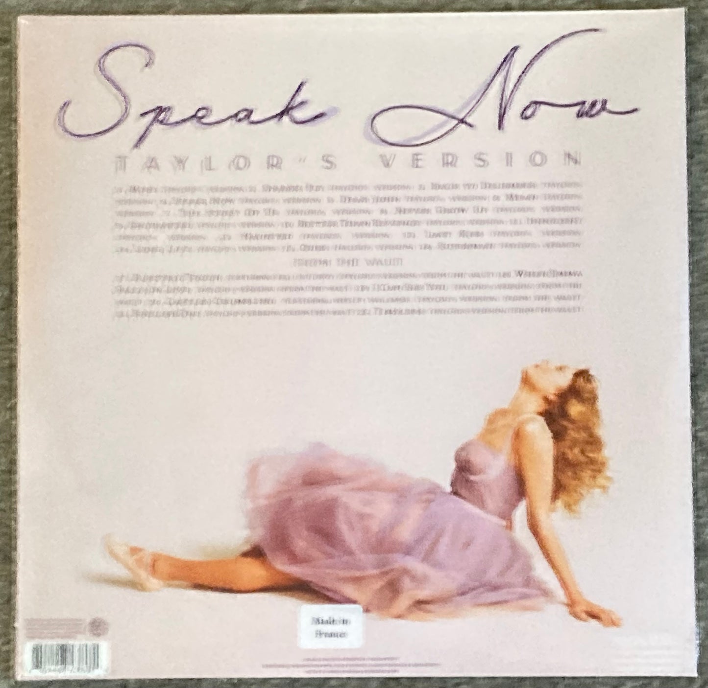The back of 'Taylor Swift - Speak Now' on vinyl