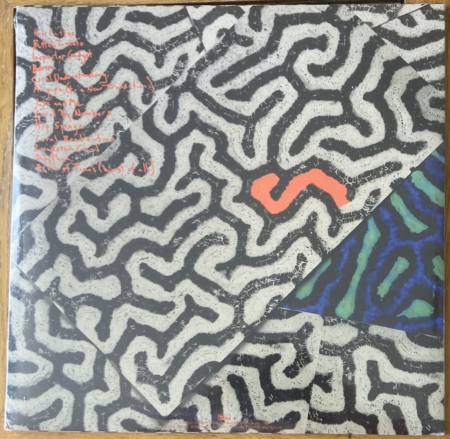 Benja Records | Animal Collective Tangerine Reef Vinyl