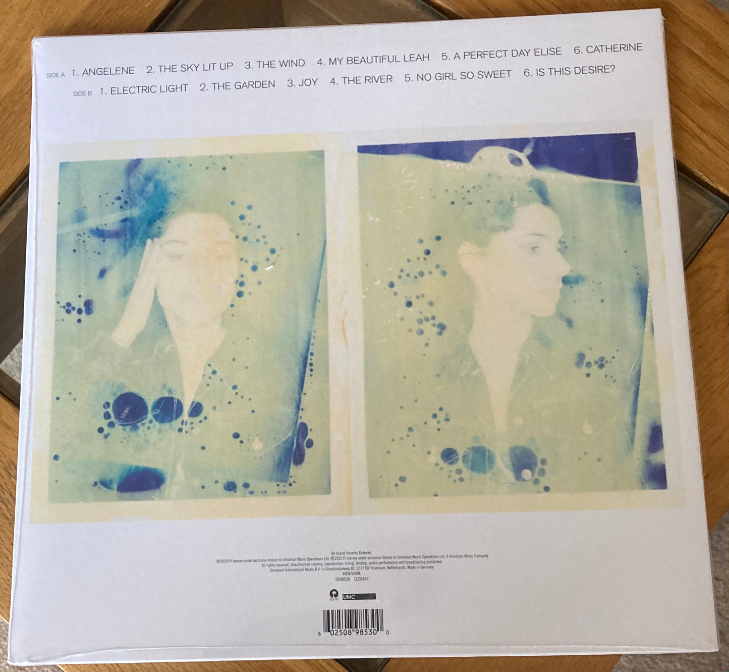 The back of 'PJ Harvey - Is This Desire?' on vinyl