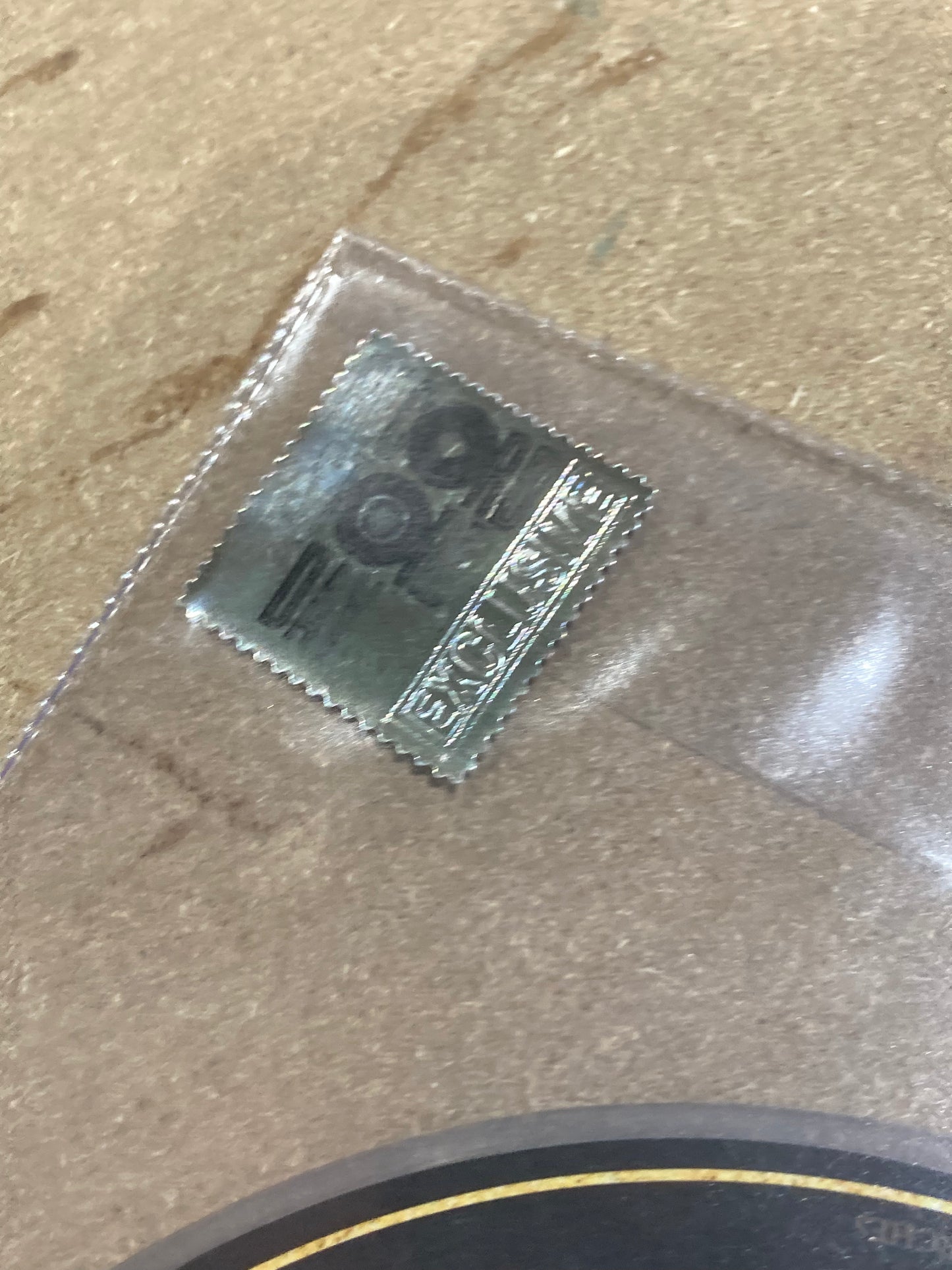 The back of ‘Mastodon - Fallen Torches’ on Vinyl.