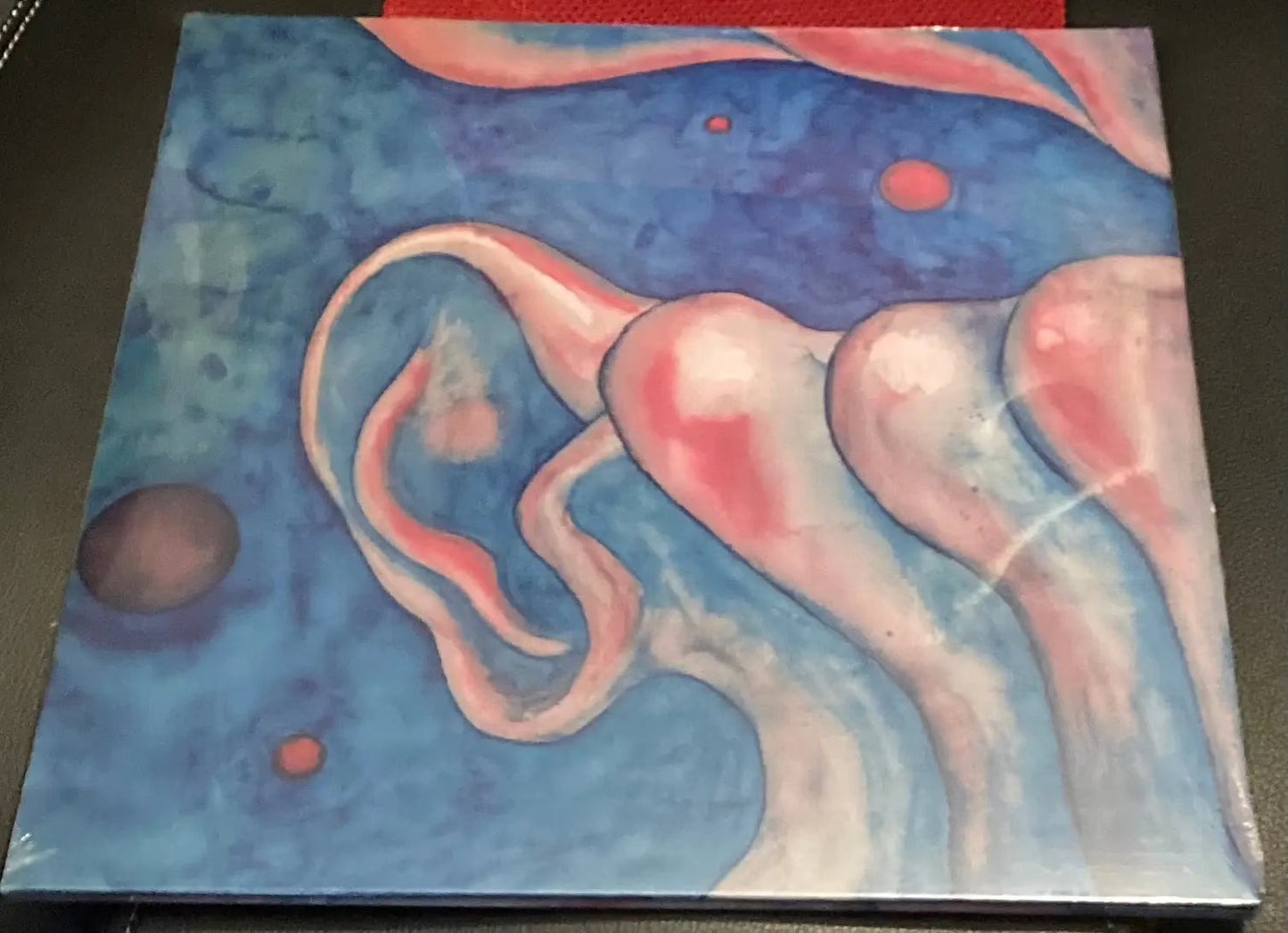 The back of ‘King Crimson - In the Court of the Crimson King’ on vinyl.