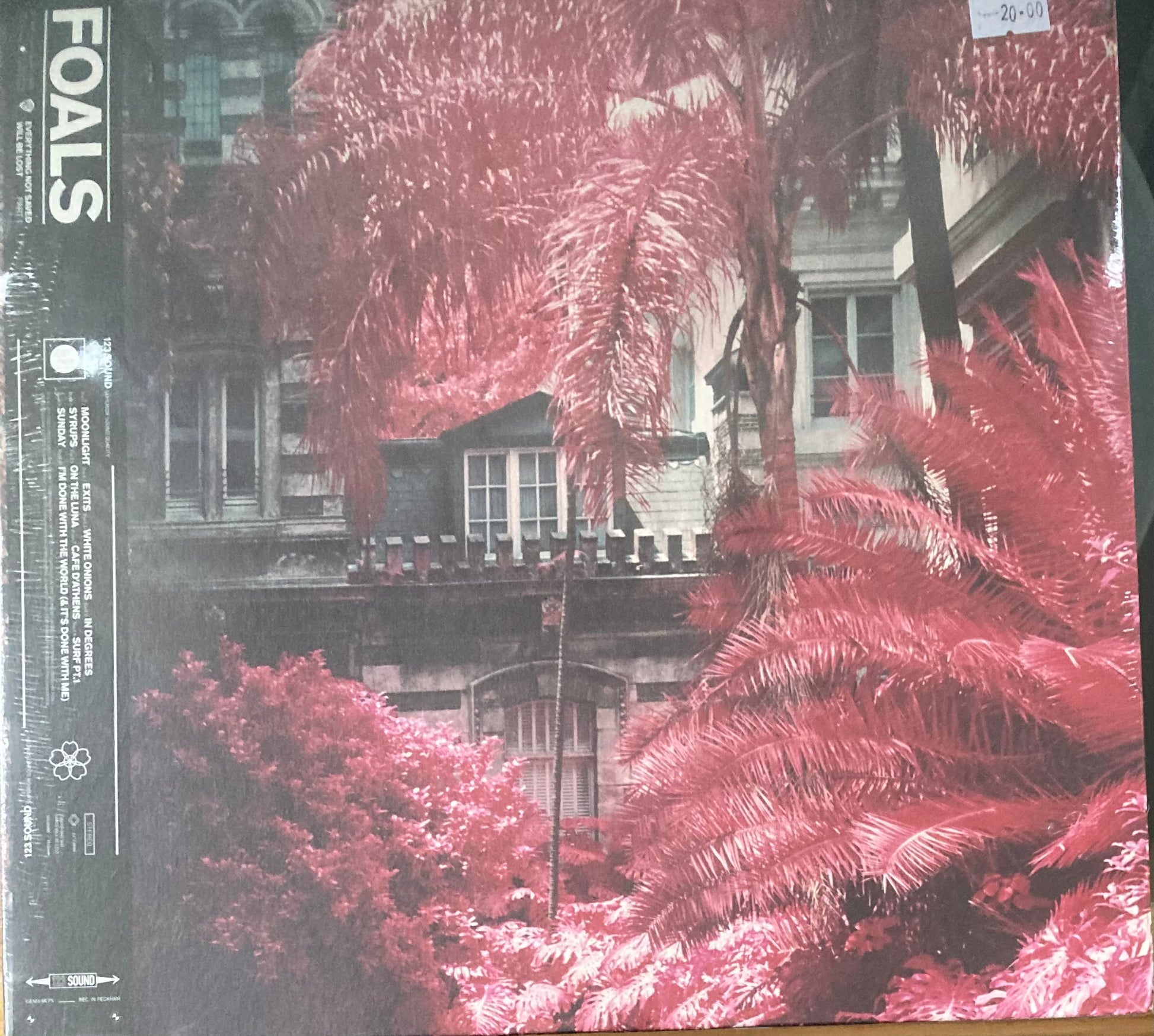 The front of 'Foals Everything Not Saved Will Be Lost pt. 1' on vinyl