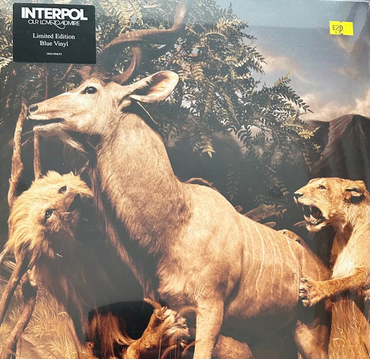 Limited edition blue vinyl LP record of Interpol 'Our Love to Admire' with a stylized cover featuring the band members and wildlife in a forest setting.