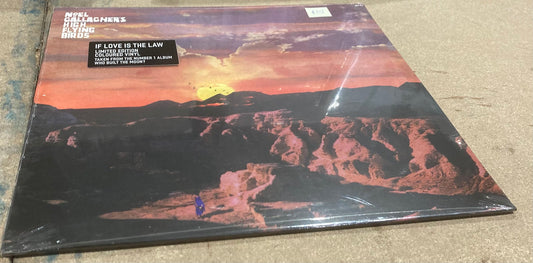 Noel Gallagher’s High Flying Birds - If Love is the Law (12” Vinyl Single)
