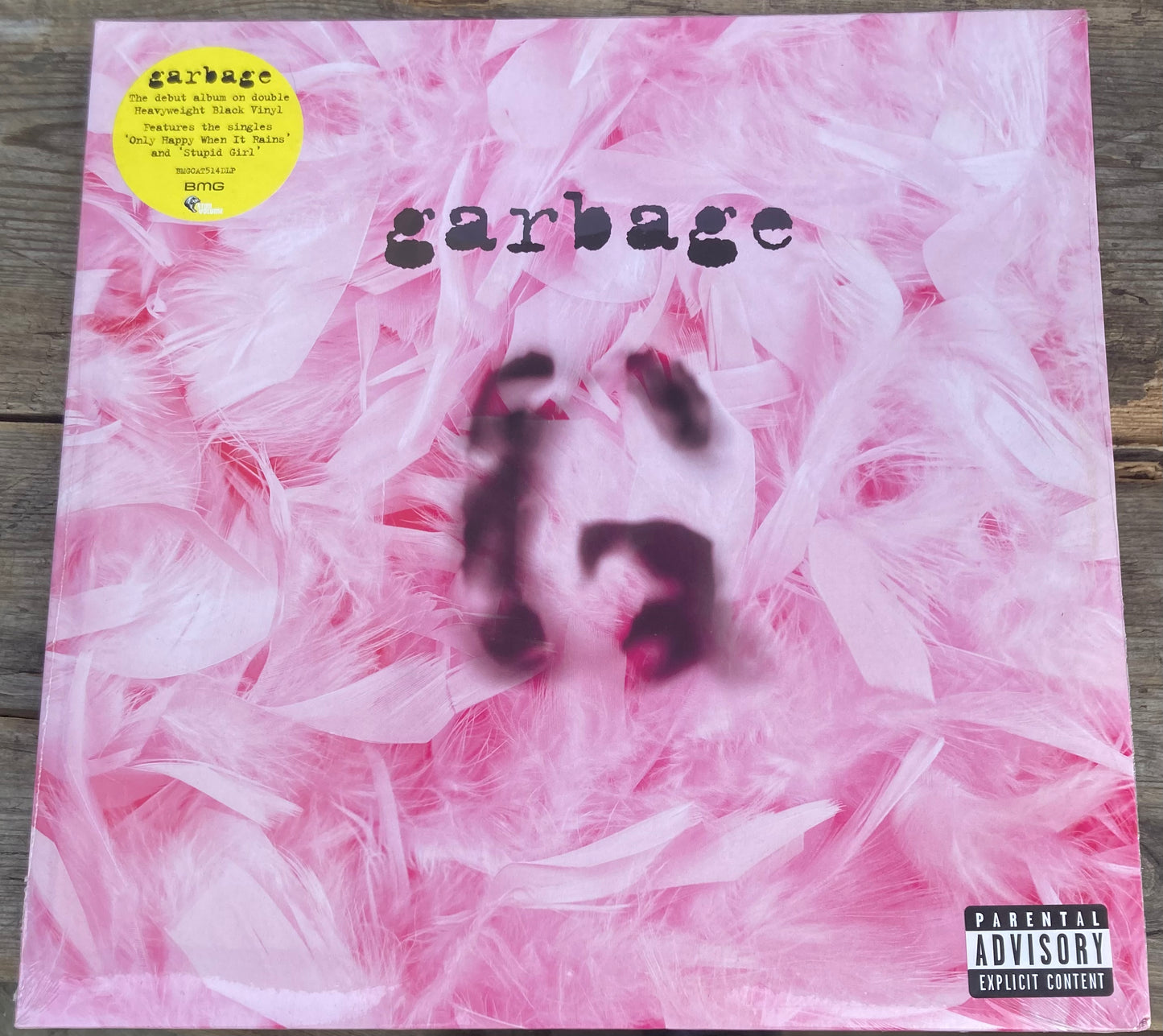 The front of 'Garbage's Self-Titled Album' on vinyl