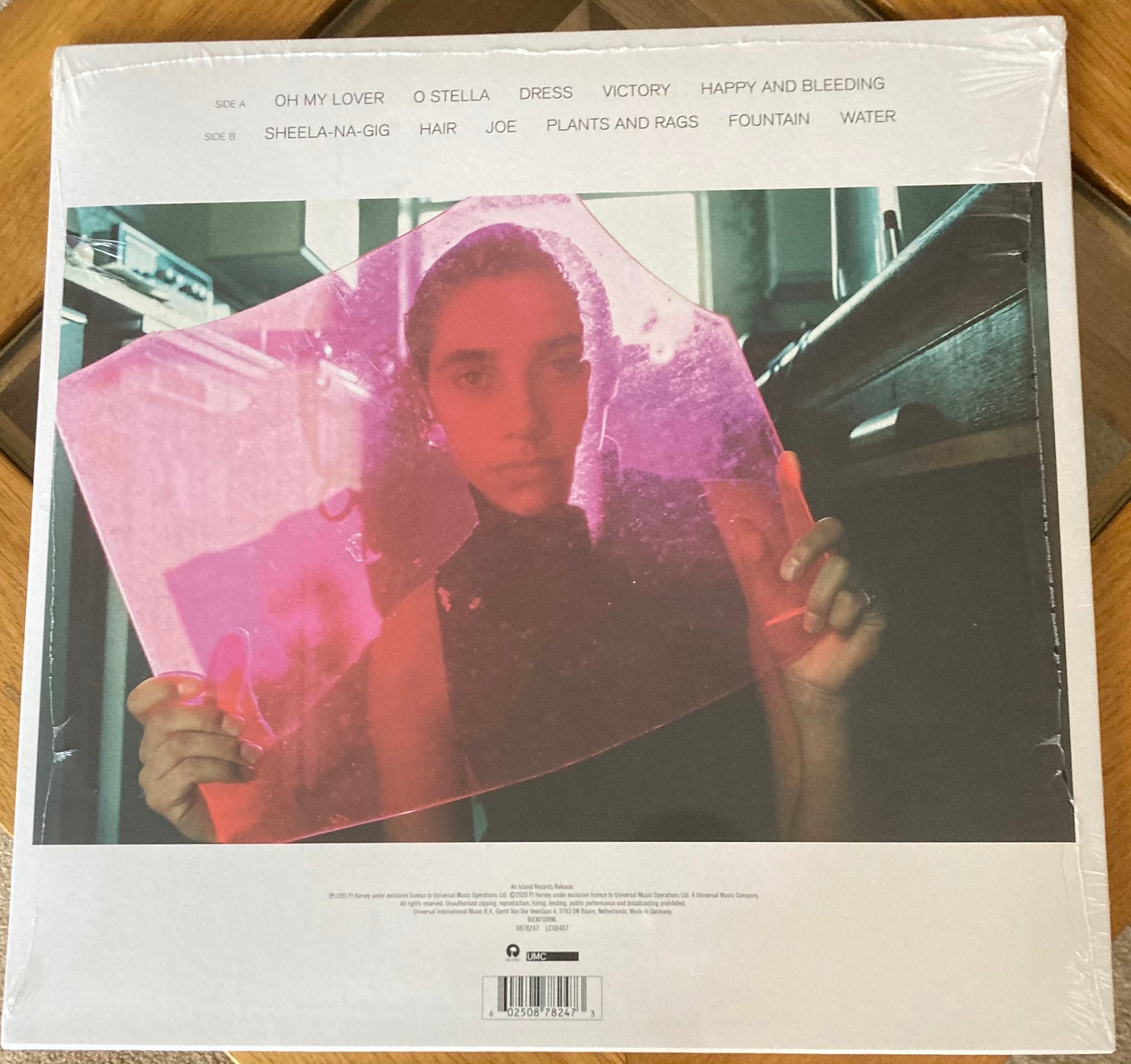 The back of 'PJ Harvey - Dry Demos' on vinyl