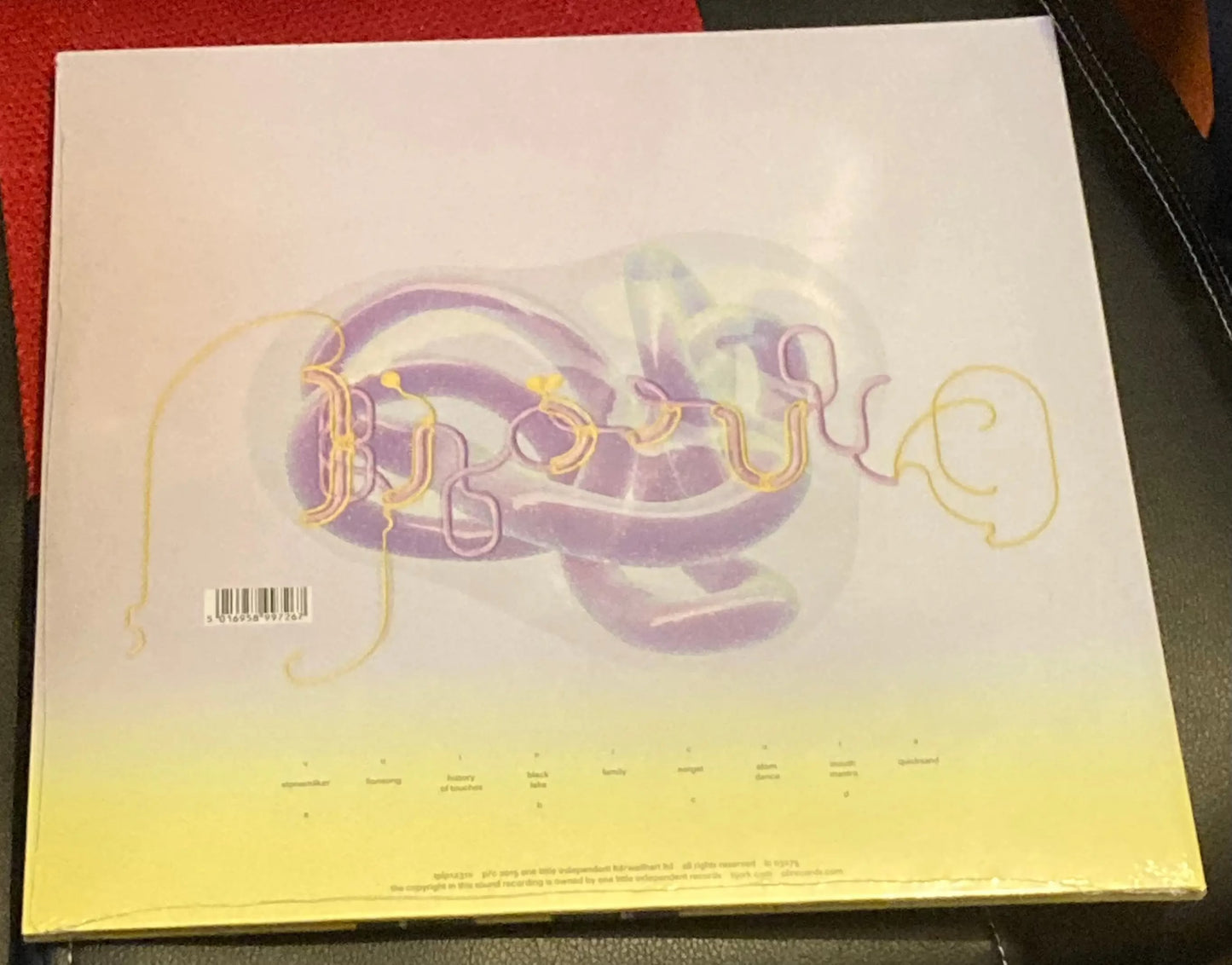 The back of Björk - Vulnicura on vinyl.